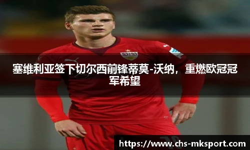 塞维利亚签下切尔西前锋蒂莫-沃纳，重燃欧冠冠军希望